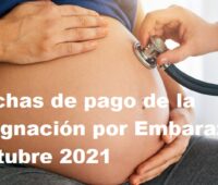 Fechas de pago de la Asignación por Embarazo Octubre 2021