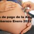 Fechas de pago de la Asignación por Embarazo Enero 2022