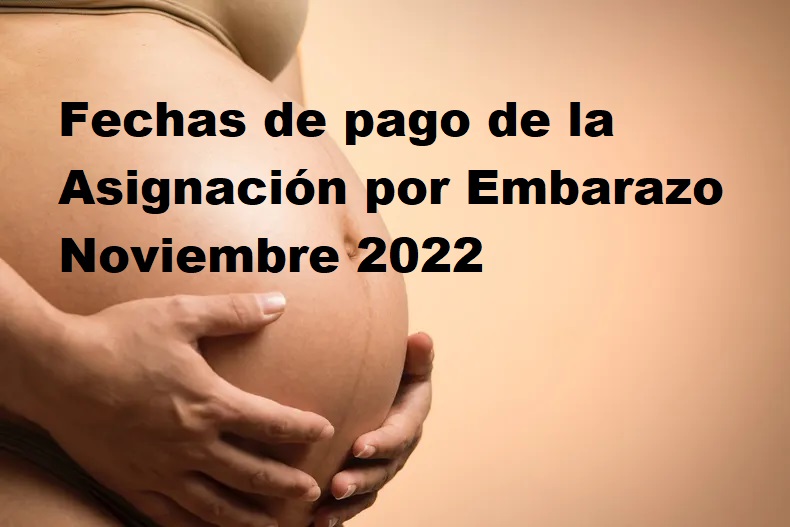 Asignación por Embarazo Noviembre 2022