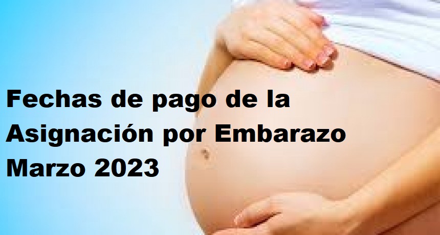 Asignación por Embarazo Marzo 2023