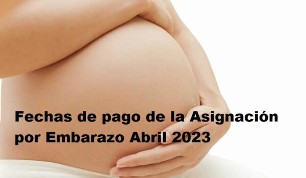 Asignación por Embarazo Abril 2023