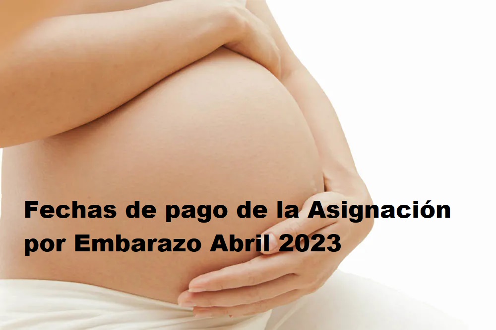 Asignación por Embarazo Abril 2023