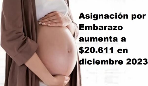 Asignación por Embarazo aumenta